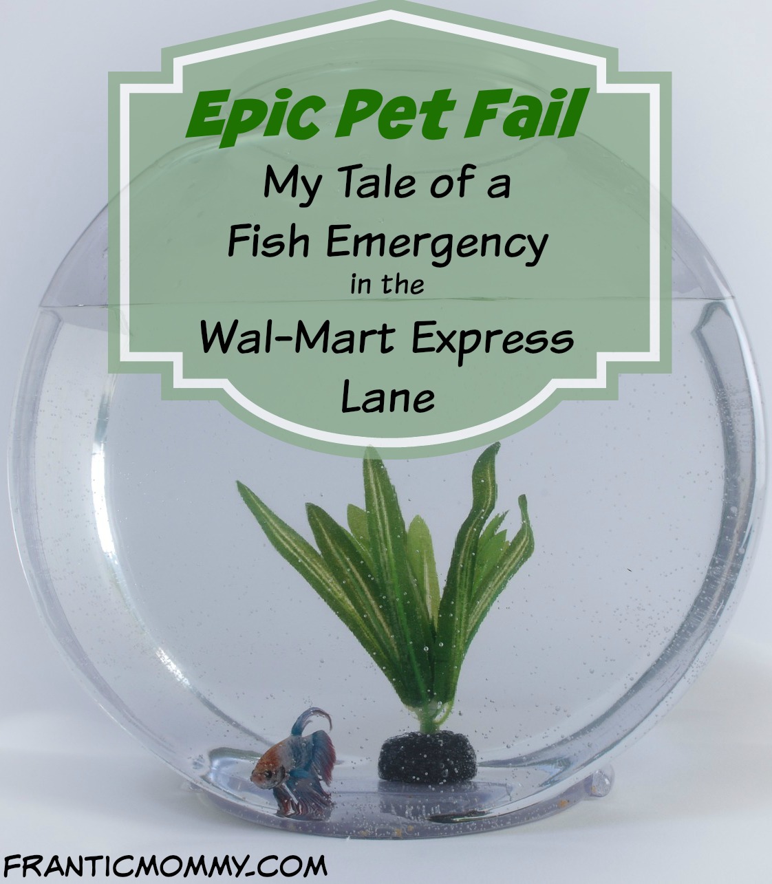 Epic Pet Fail | My Tale of a Fish Emergency in the Wal-Mart Express Lane