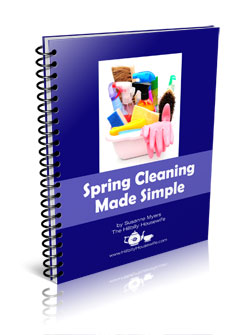 An Introduction to Spring Cleaning