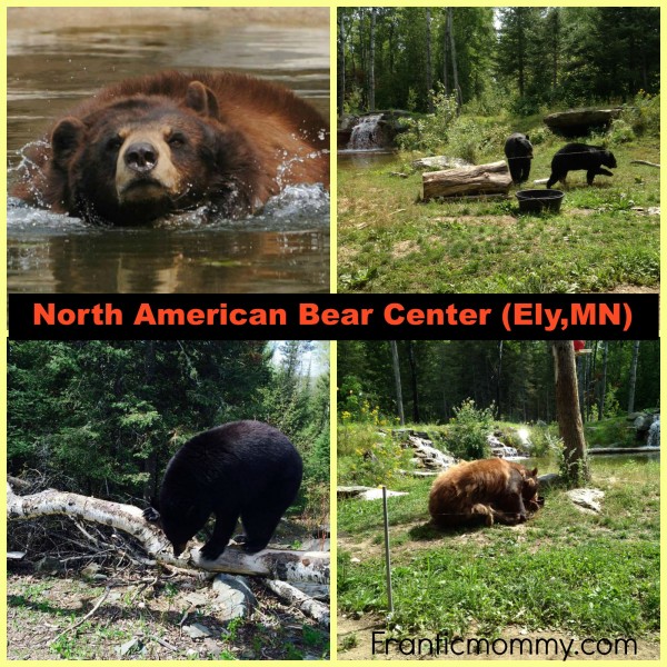 North American Bear center