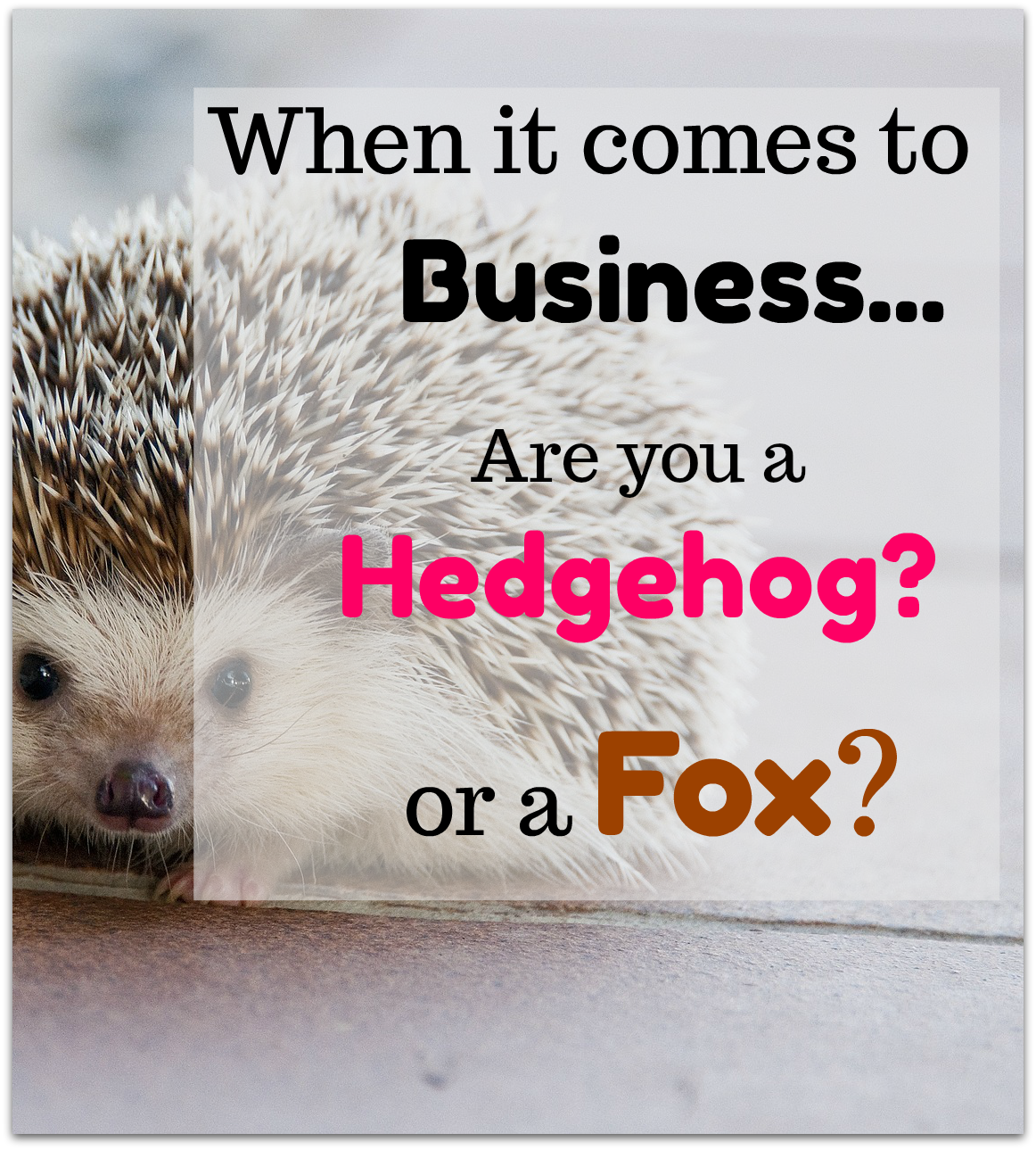 Sometimes You Need to be a Hedgehog