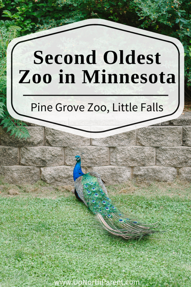 Pine Grove Zoo