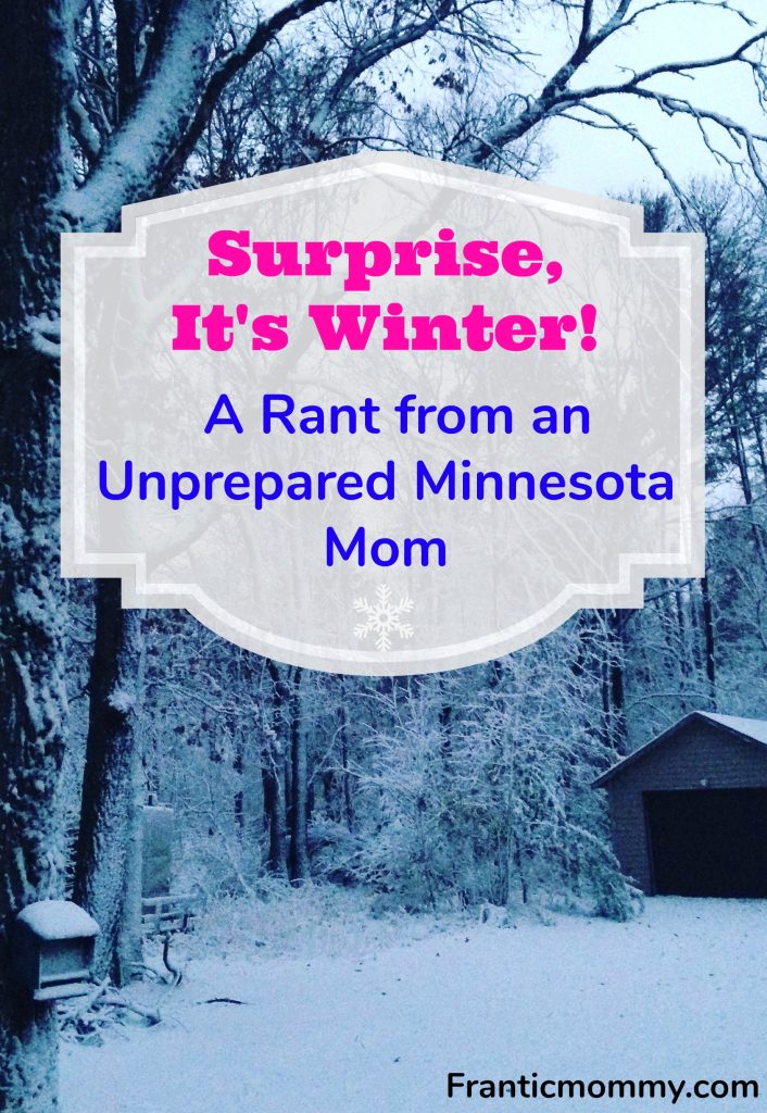 A Rant from an Unprepared Minnesota Mom