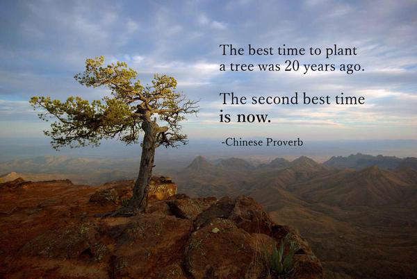 The best time to plant a tree was 20 years ago -- the second best time is today.