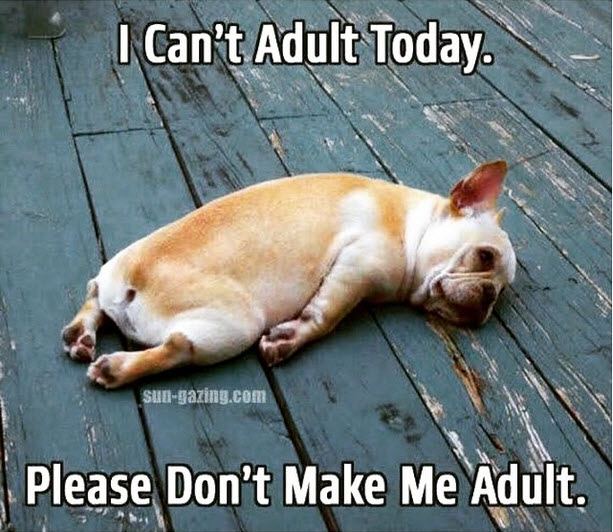 Anti-Adulting Days | When you don’t feel like trying, what do you do?