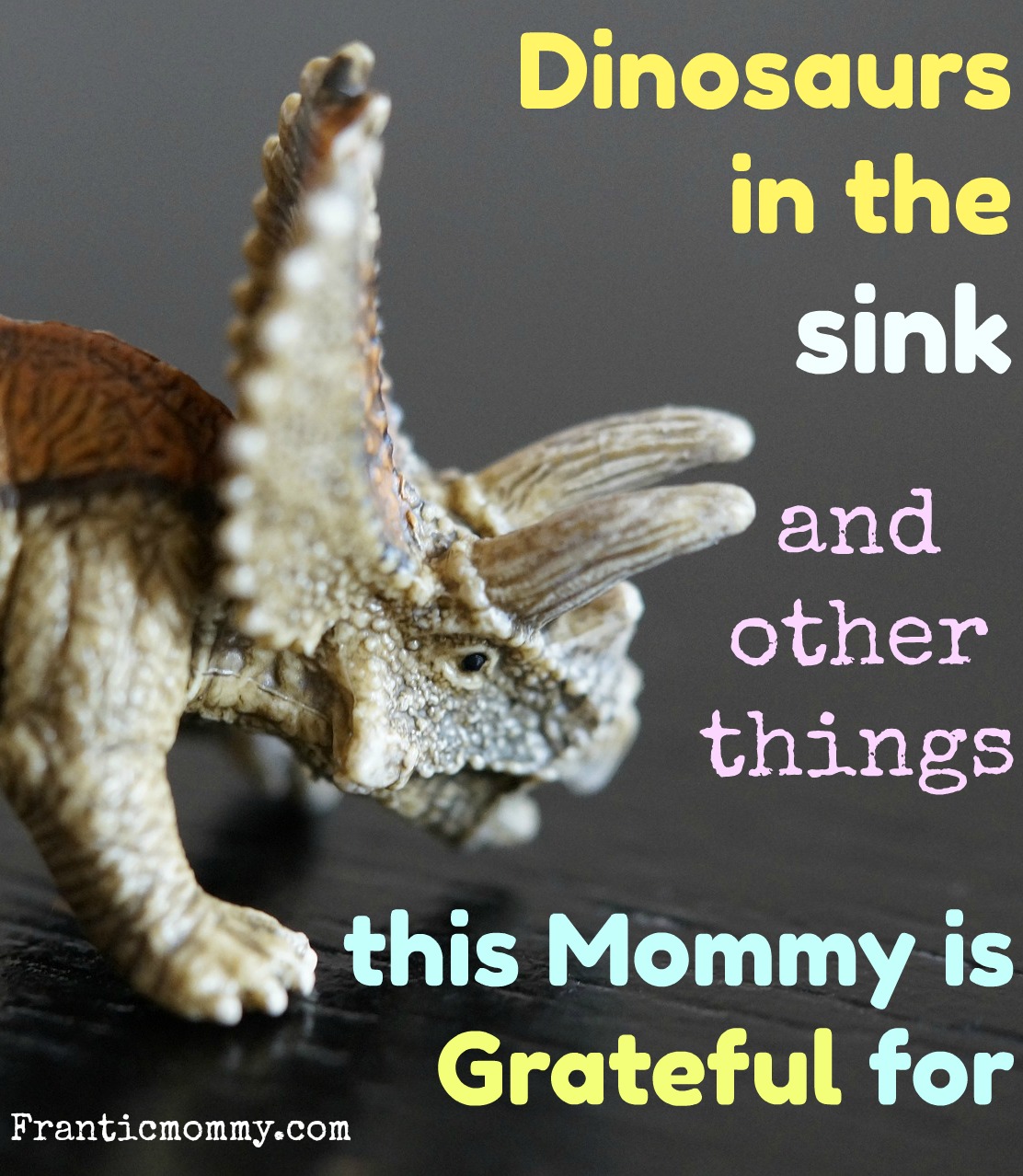 Dinosaurs in the Sink and other Things this Mommy is Grateful for